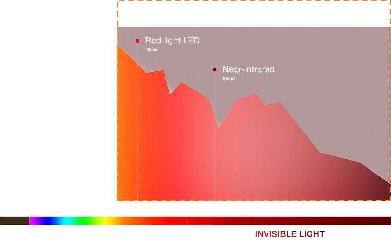 Full-Spectrum vs. Traditional Red Light