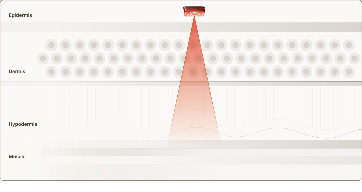 850 – 940 nm skin penetration